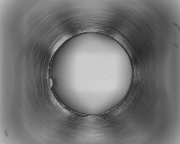 X0000102790906200809021112