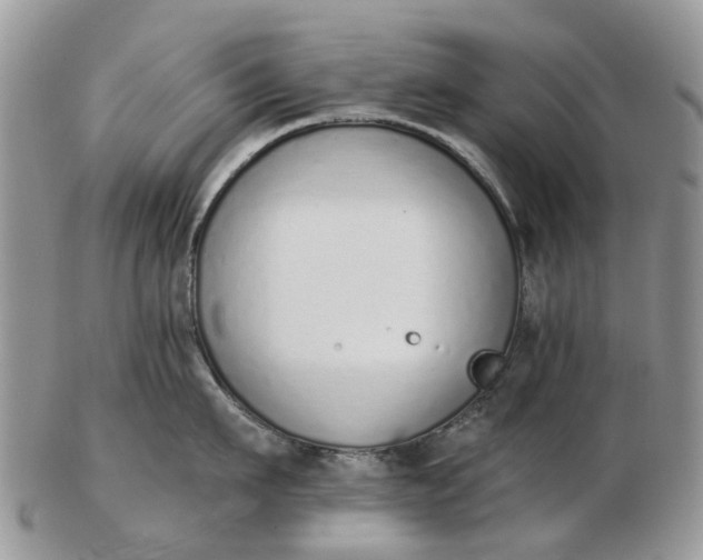 X0000102790911200809021112