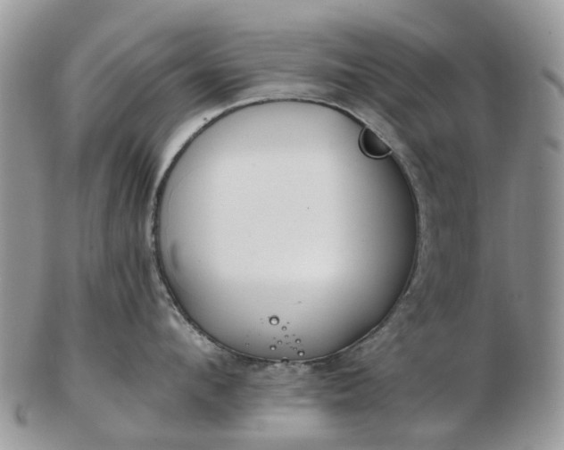 X0000102790912200809021112