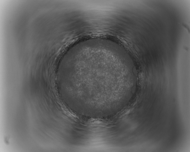 X0000102790913200809021111