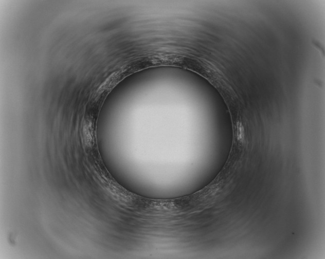 X0000102790915200809021111