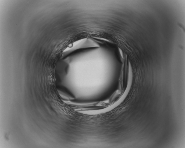 X0000102790916200809021111