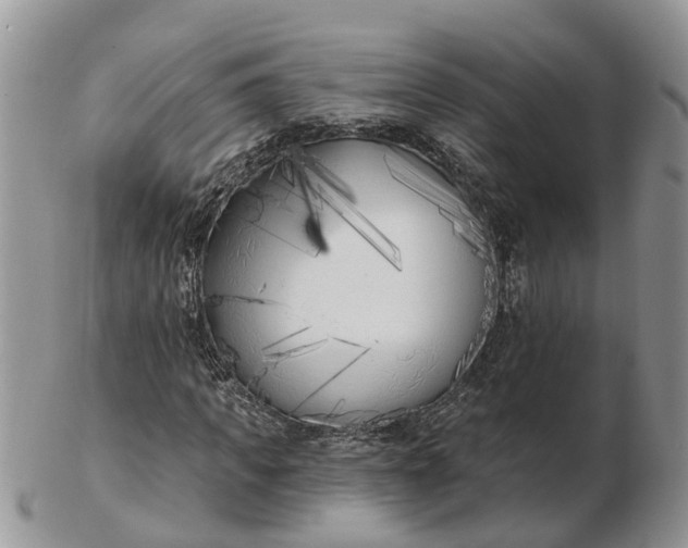 X0000102790917200809021111