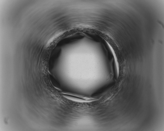 X0000102790919200809021111