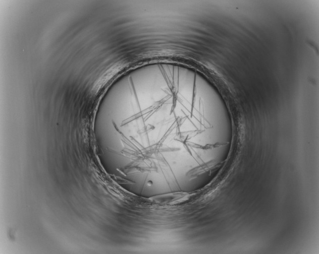 X0000102790921200809021111