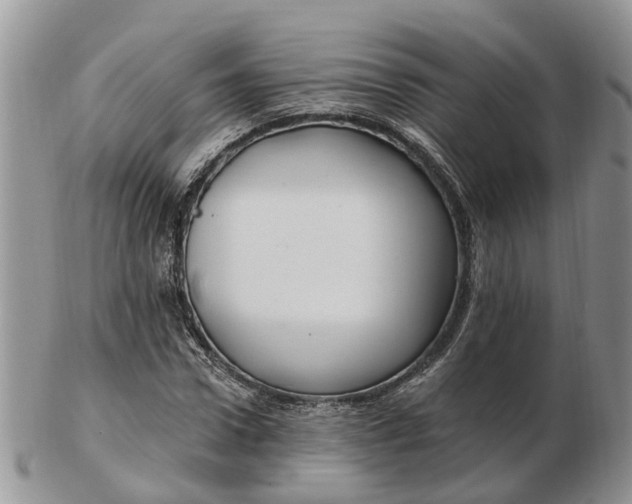 X0000102790922200809021111