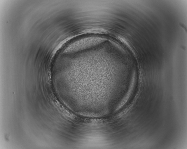 X0000102790923200809021111