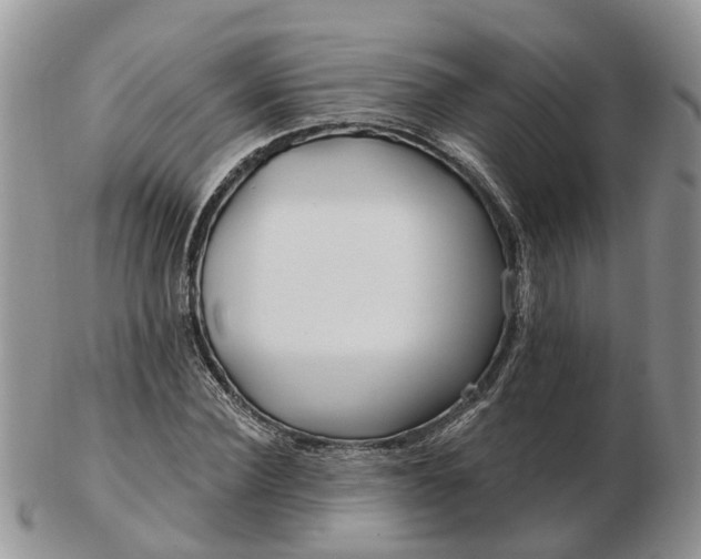 X0000102790924200809021111