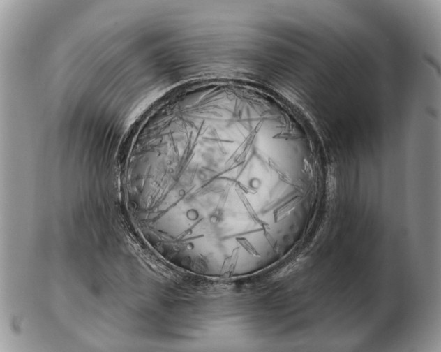 X0000102790925200809021111