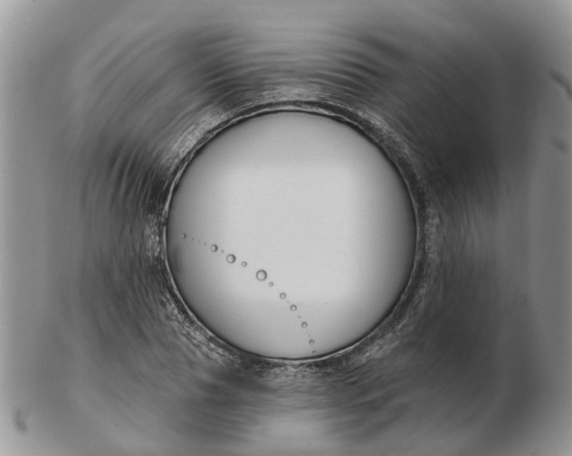 X0000102790929200809021111