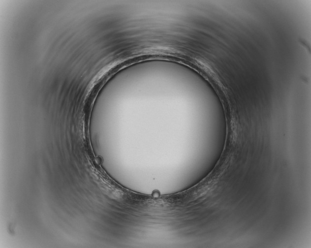 X0000102790931200809021111