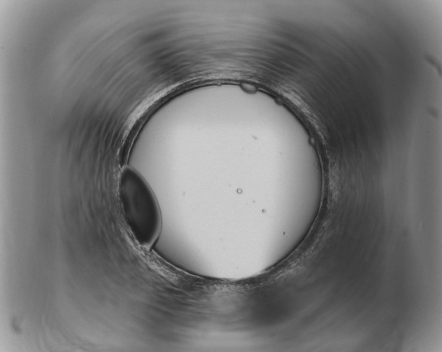 X0000102790933200809021111