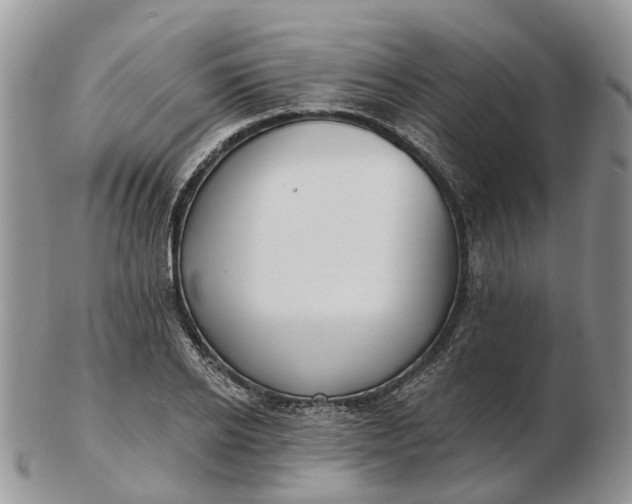 X0000102790934200809021111