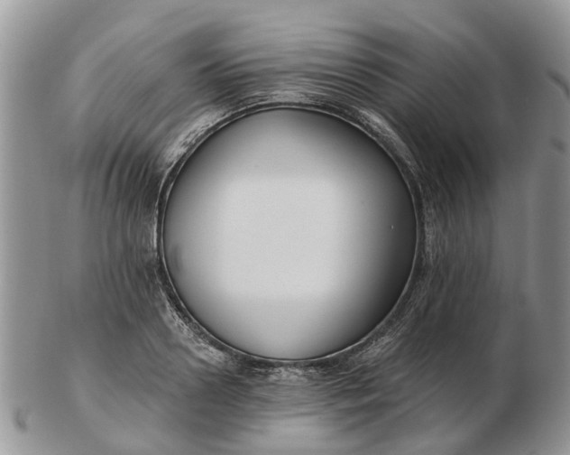 X0000102790938200809021111