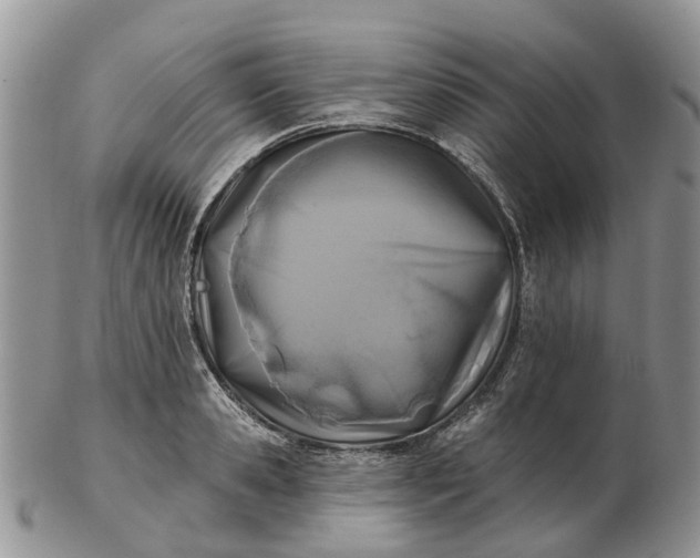 X0000102790941200809021111