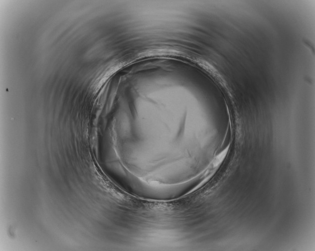 X0000102790945200809021111