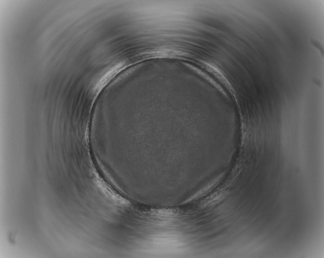 X0000102790946200809021111