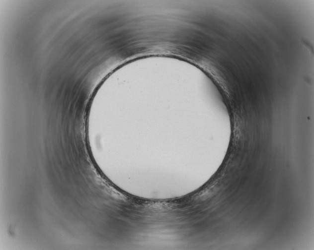 X0000102790950200809021111