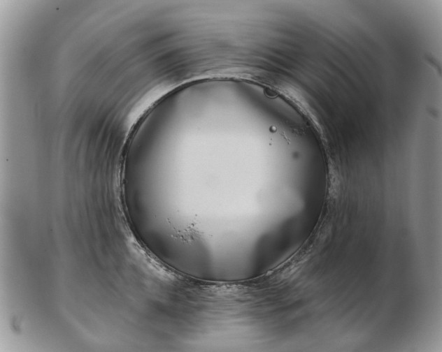 X0000102790952200809021112