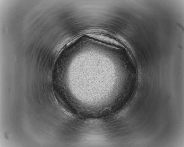 X0000102790953200809021112