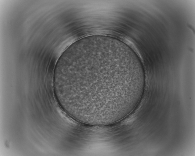 X0000102790954200809021112