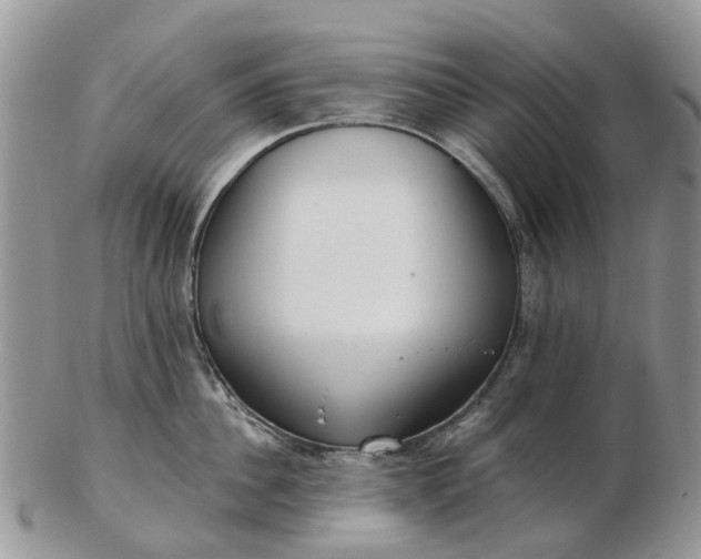 X0000102790956200809021112