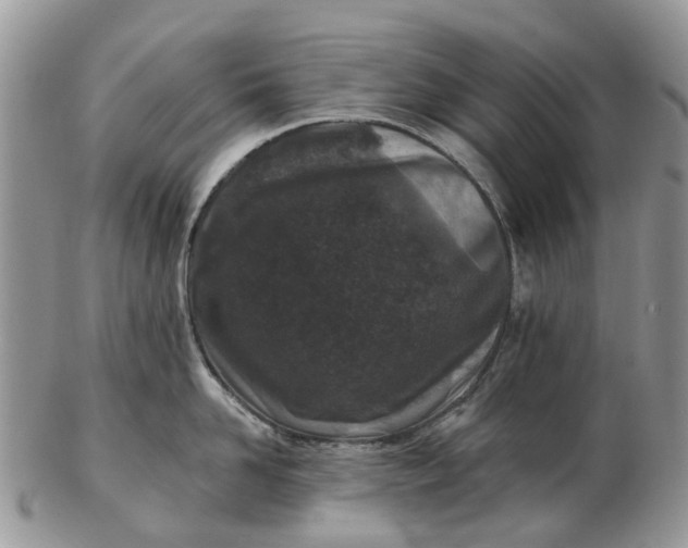 X0000102790958200809021112