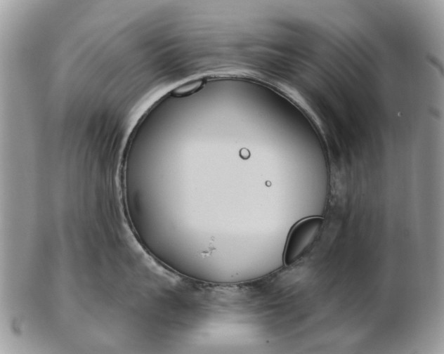 X0000102790959200809021112