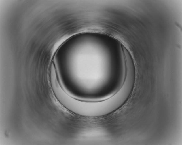 X0000102790960200809021112