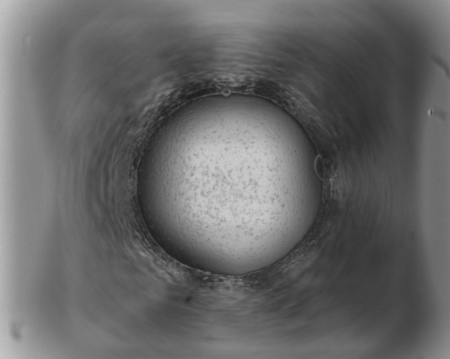 X0000102790961200809021111