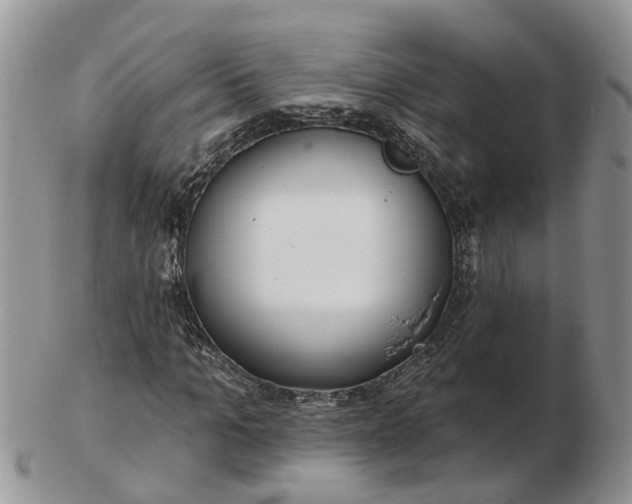 X0000102790965200809021111