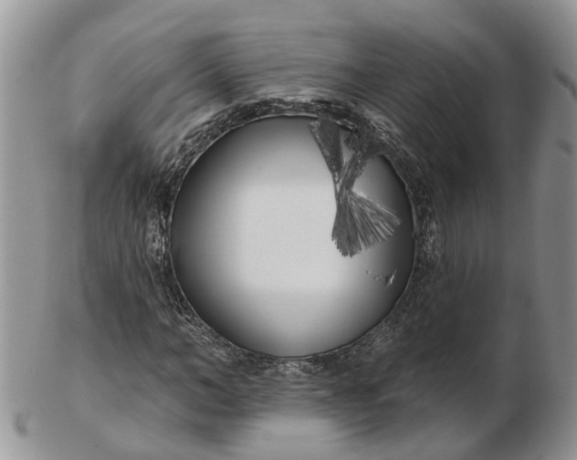 X0000102790966200809021111