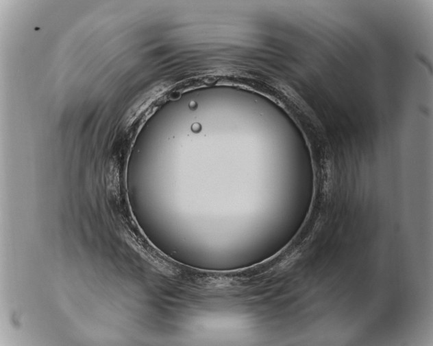 X0000102790969200809021111