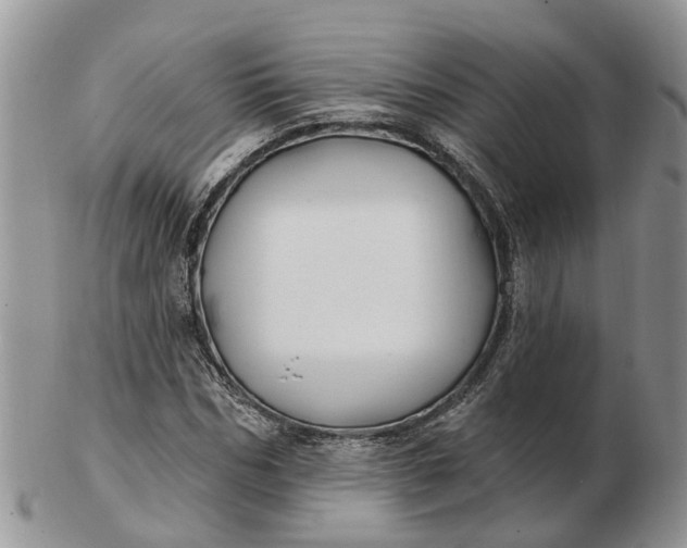 X0000102790970200809021111