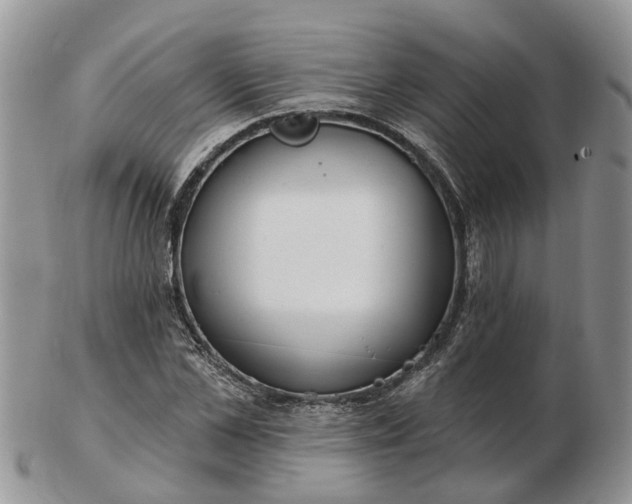 X0000102790973200809021111