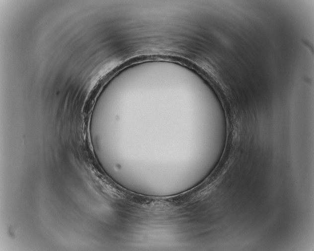 X0000102790974200809021111