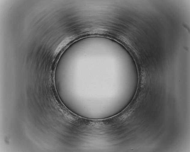 X0000102790978200809021111