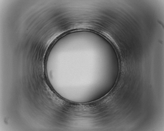 X0000102790980200809021111