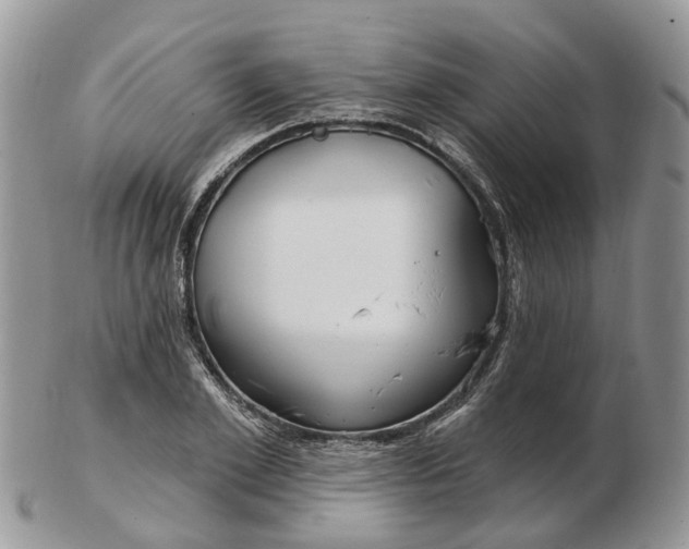 X0000102790981200809021111