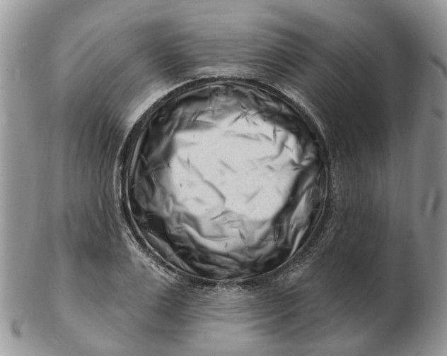 X0000102790983200809021111