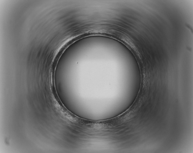 X0000102790984200809021111