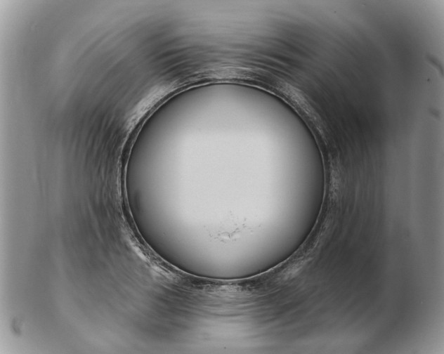 X0000102790986200809021111