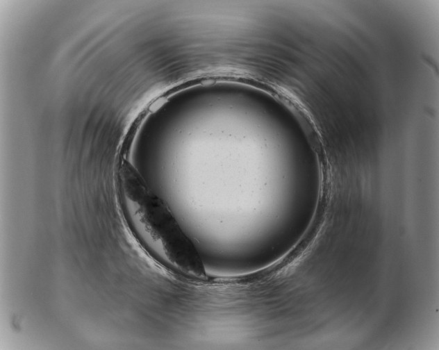 X0000102790989200809021111