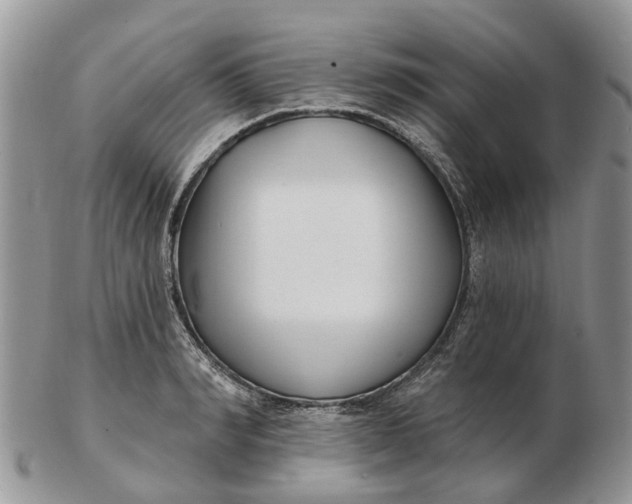 X0000102790990200809021111