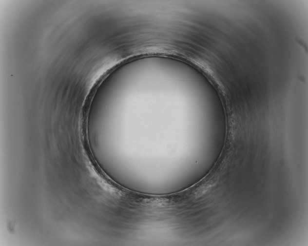 X0000102790991200809021111