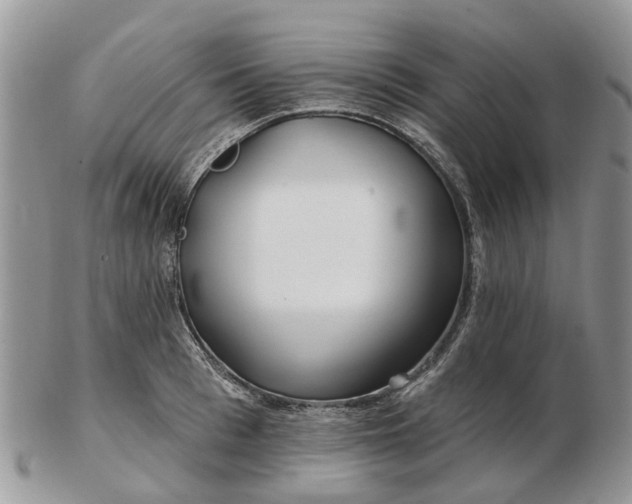 X0000102790993200809021111