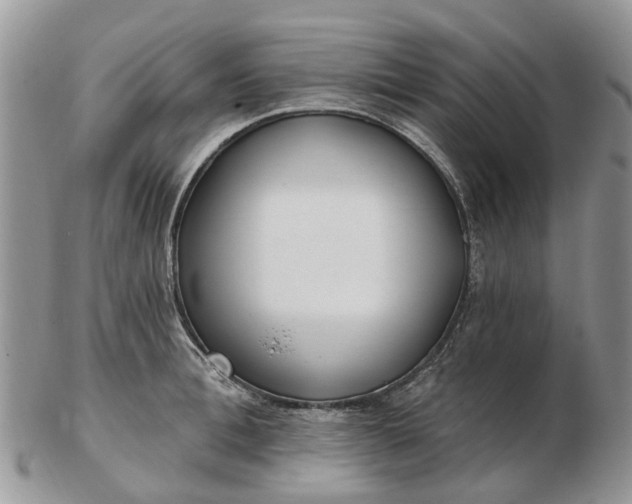 X0000102790996200809021110