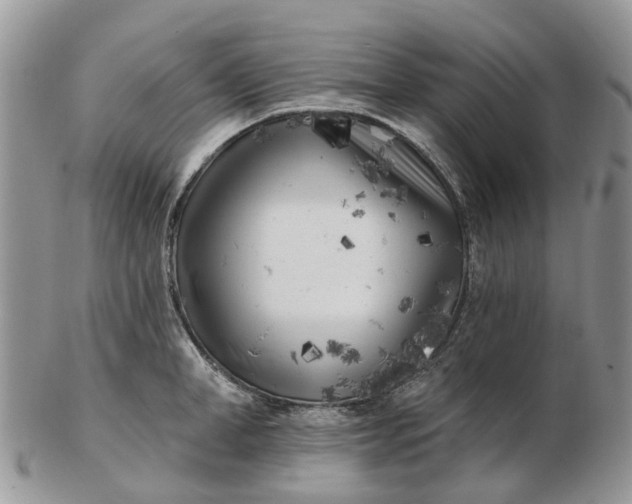 X0000102790998200809021110