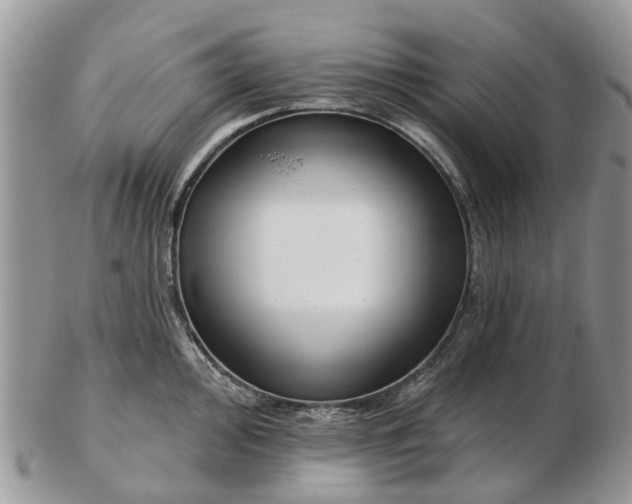 X0000102791000200809021110