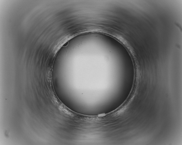 X0000102791001200809021110